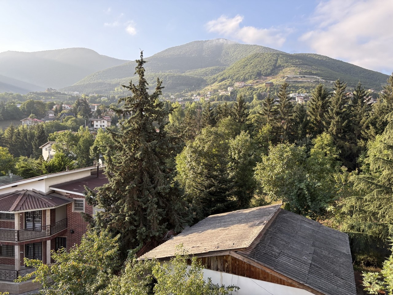 Descriptive Alt Text