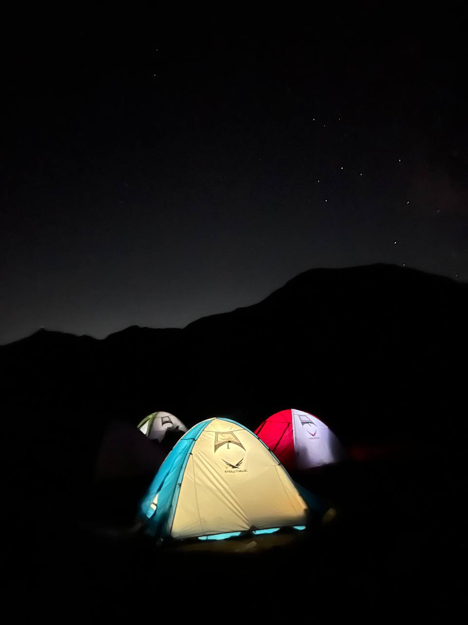 Descriptive Alt Text