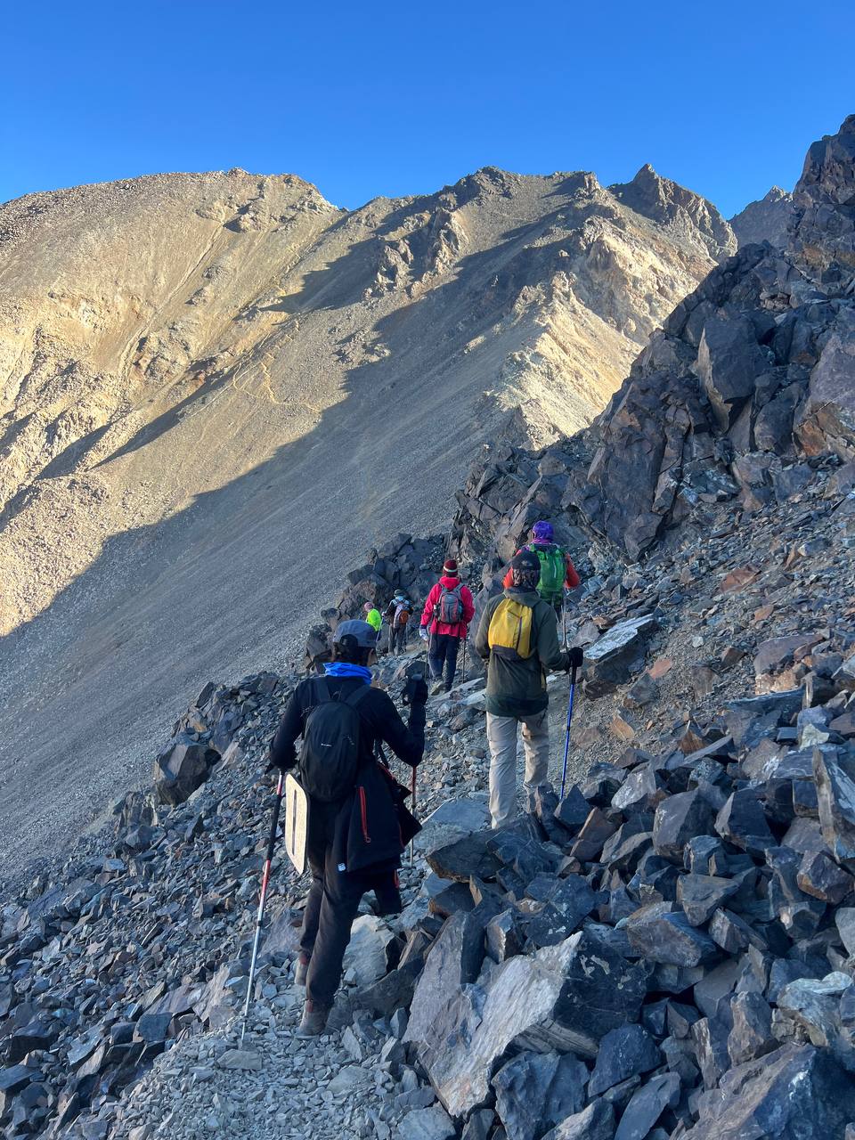 Descriptive Alt Text